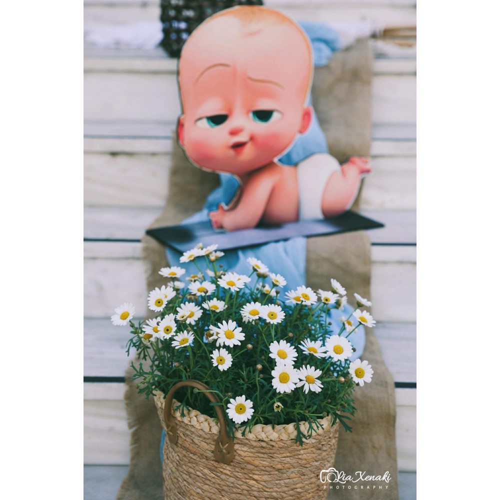 Στολισμός Βάπτισης Baby Boss ΣΤΟΛΙΣΜΟΙ