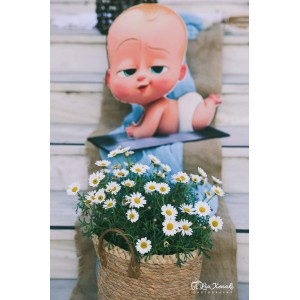 Στολισμός Βάπτισης Baby Boss ΣΤΟΛΙΣΜΟΙ