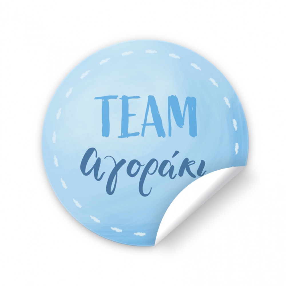 Αυτοκόλλητα για Gender Reveal – Team Αγοράκι (6 τεμ) Είδη Party