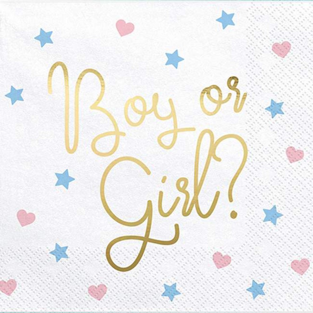 Χαρτοπετσέτες “Boy or Girl” για Gender Reveal (20 τεμ) Είδη Party