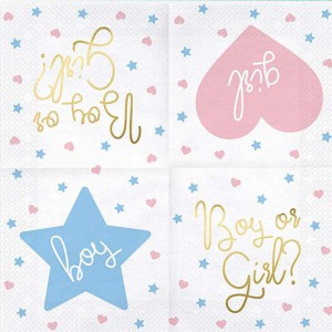 Χαρτοπετσέτες “Boy or Girl” για Gender Reveal (20 τεμ) Είδη Party